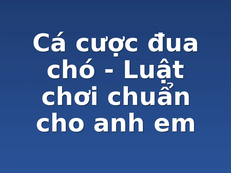 Cá cược đua chó - Luật chơi chuẩn cho anh em