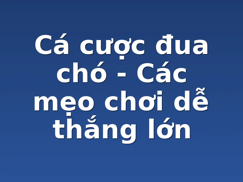 Cá cược đua chó - Các mẹo chơi dễ thắng lớn