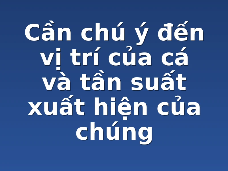 Cần chú ý đến vị trí của cá và tần suất xuất hiện của chúng
